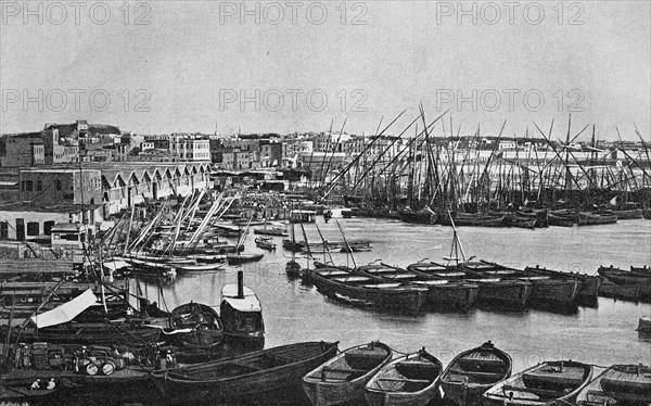 The port of Alexandria