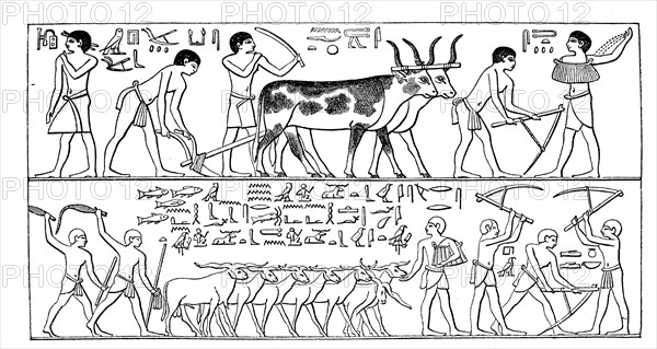 Cultural history of ancient Egypt