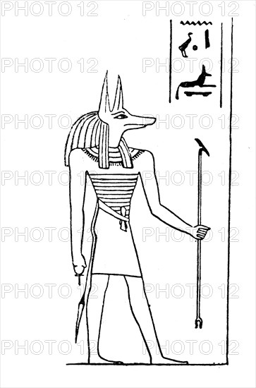 Anubis