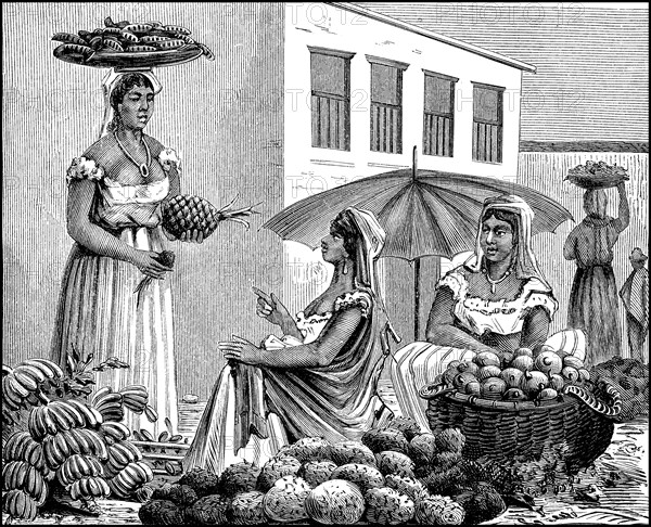 Market women in Carthagene