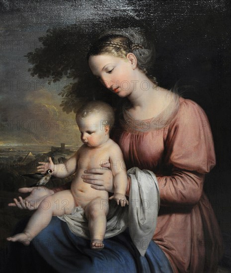 Rafael Tegeo, Virgin of the goldfinch, 1825-1828