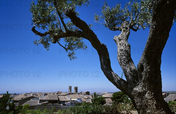 General view of the village, Spain, Verdu