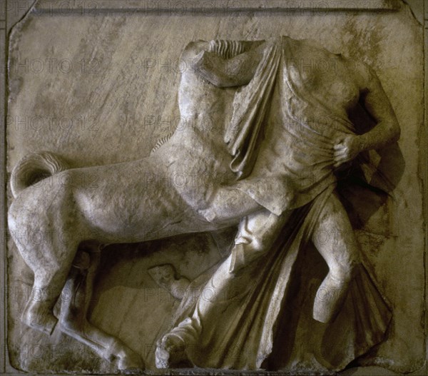 Mythical centaurs fought with the Lapiths