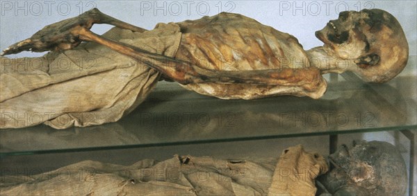 Tomb of Nebera, Egyptian mummy belonging to a member of the royal house,