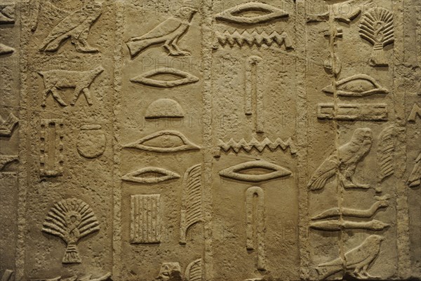 Detail of hieroglyphic inscriptions