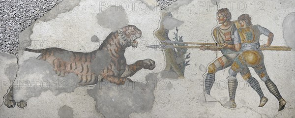 Great Palace of Constantinople, Gladiators fighting a tiger