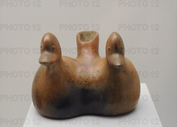 Geminated vessel depicting ducks