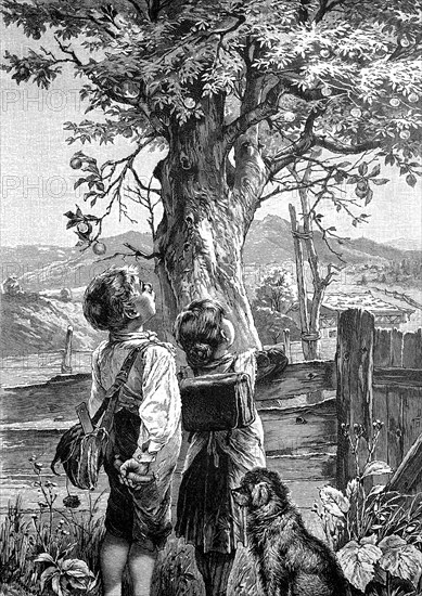 Two school children standing in front of an apple tree and thinking how to get the fruit