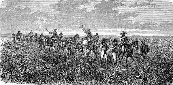 Patrol of the English in Central Australia