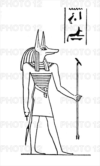 Anubis