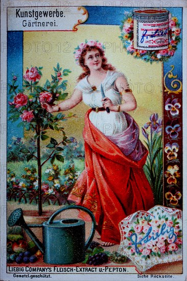 Picture series of Decorative Arts