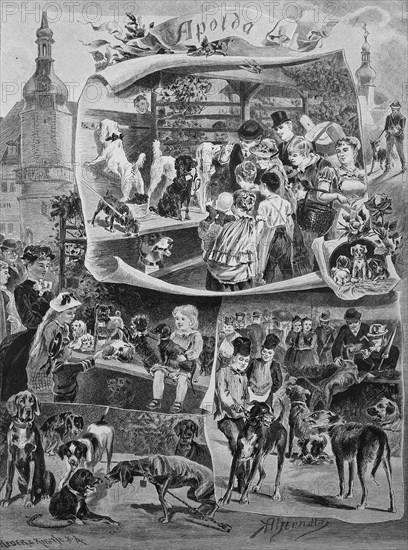 Dog market in Apolda