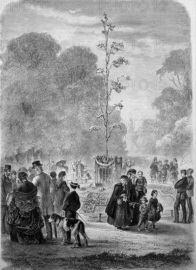 Planting of the commemorative oak tree at Rosenthal in Leipzig