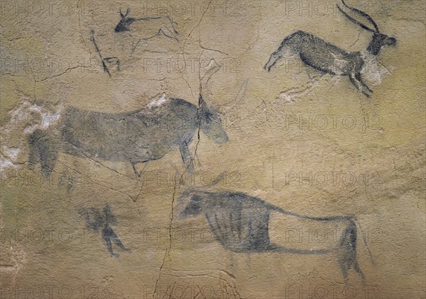 Detail of the cave paintings. Caves of El Cogul