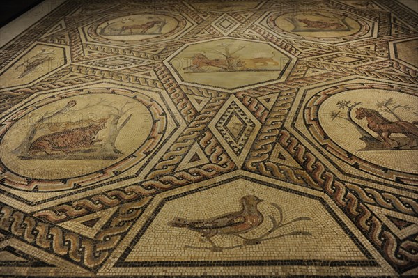 Floor mosaic from a Roman house in Trier.