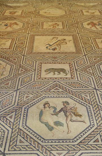 Dionysus Mosaic.