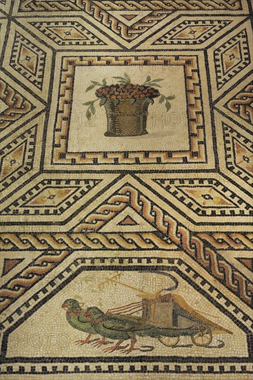 Dionysus Mosaic.