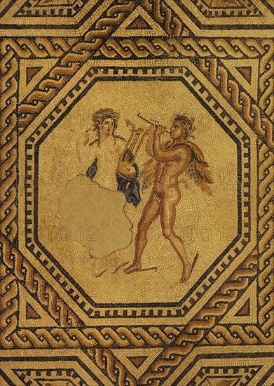 Dionysus Mosaic.