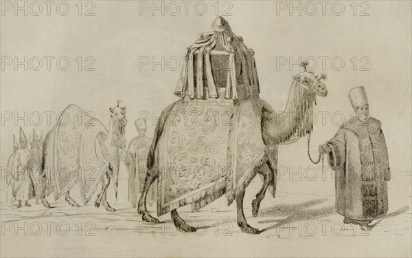 Sacred camel and camel of respect.