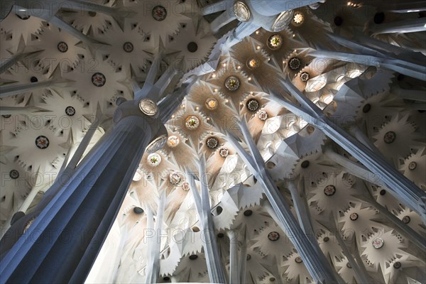 Basilica of the Sagrada Familia.