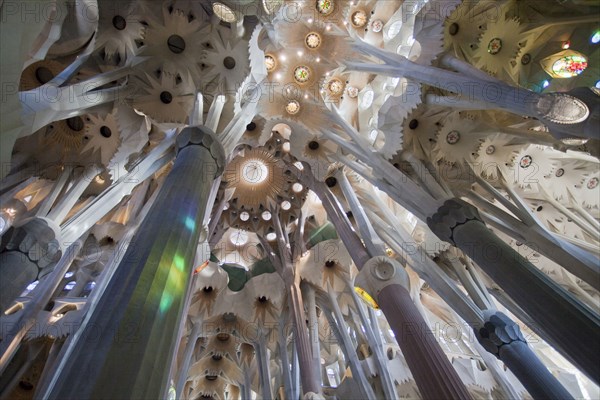 Basilica of the Sagrada Familia.