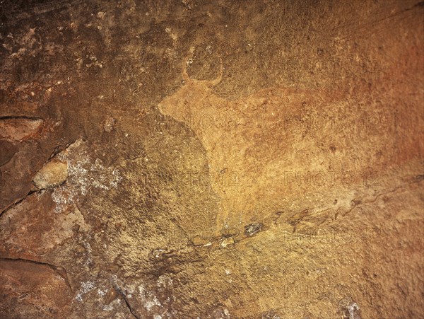 Cave of Cocinilla del Obispo.