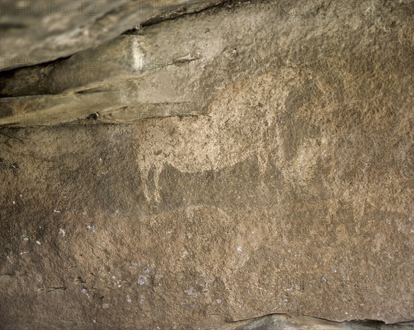 Cave of Cocinilla del Obispo.