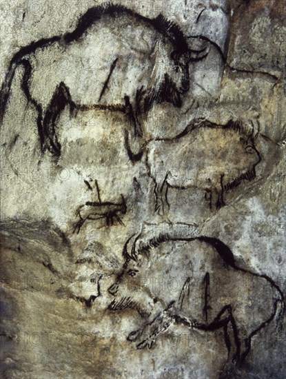 Cave of Niaux.