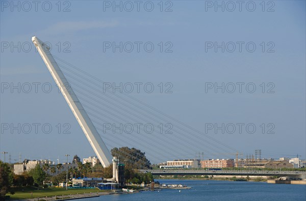 The Alamillo bridge.