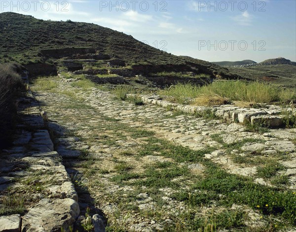 Paved street. Velilla de Ebro.