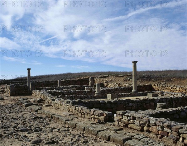 Ruins of houses with arcaded courtyards.