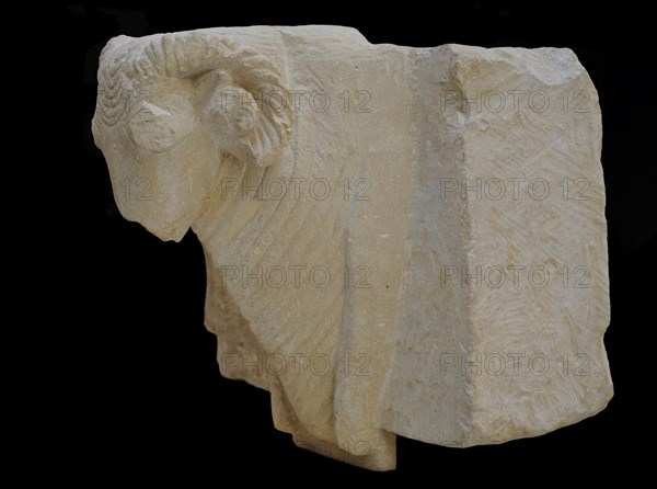 Iberian protome of a ram