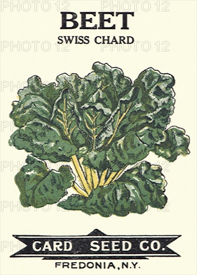 Beet Seed Packet