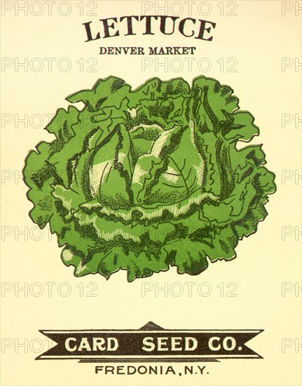 Lettuce Seed Packet