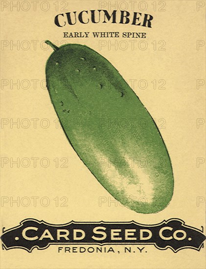 Cucumber Seed Packet