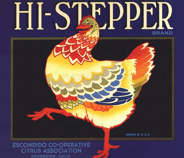 Hi-Stepping Chicken