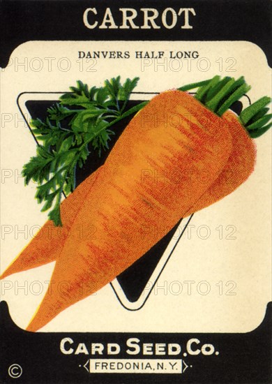 Carrot Seed Packet