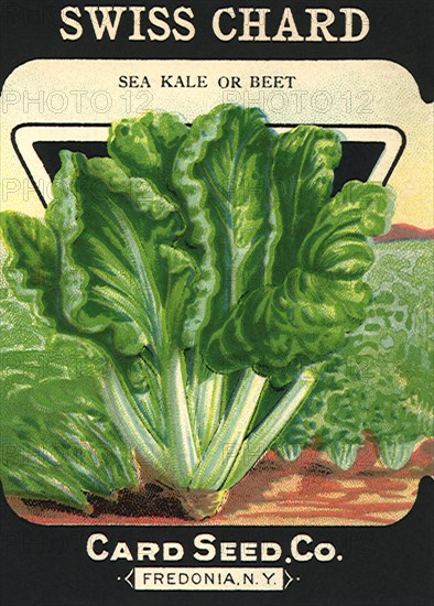 Swiss Chard Seed Packet