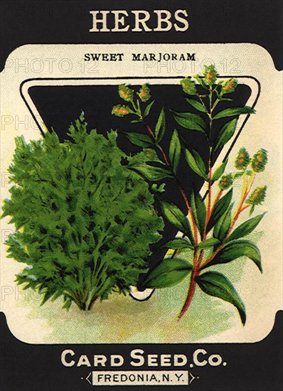 Herbs Seed Packet
