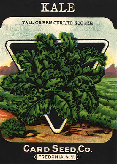 Kale Seed Packet