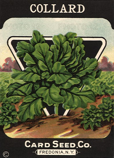 Collard Seed Packet