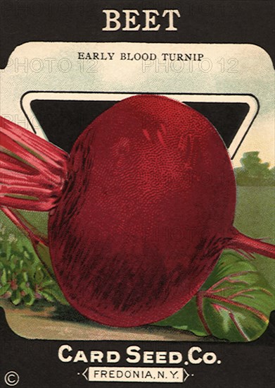 Beet Seed Packet