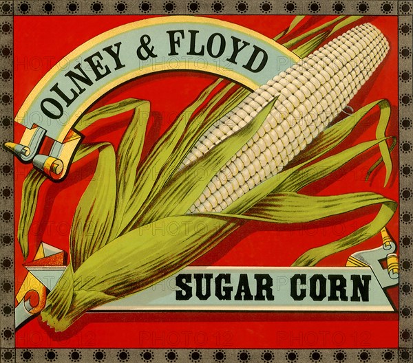 Sugar Corn Label