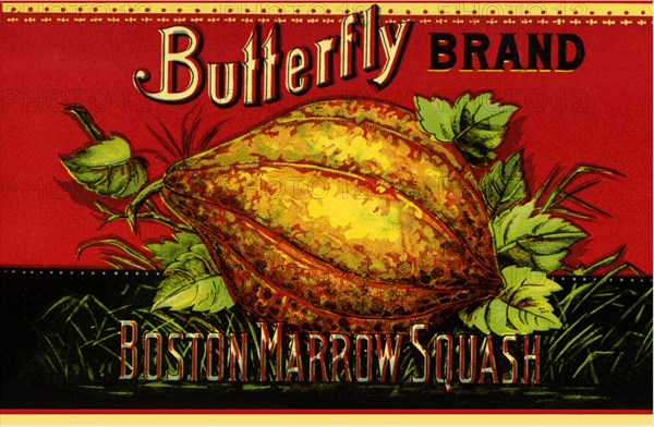 Squash Label