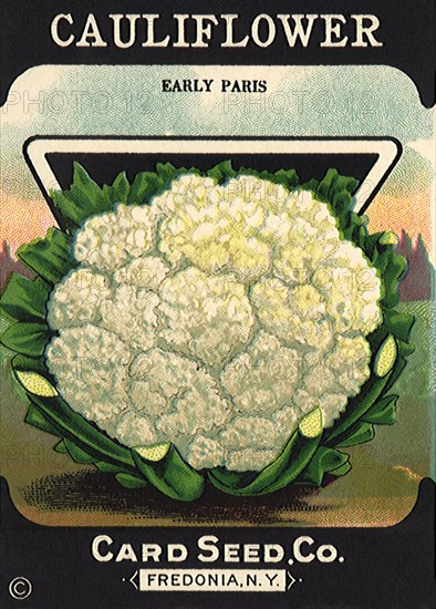 Cauliflower