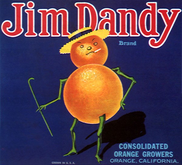 Jim Dandy Brand