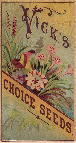 Vick’s Choice Seeds