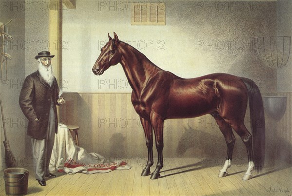 Hambletonian (Stall Scene)