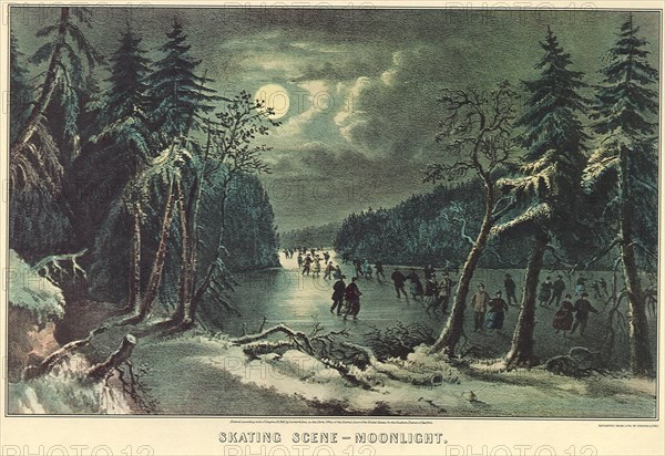 Moonlight Skaters