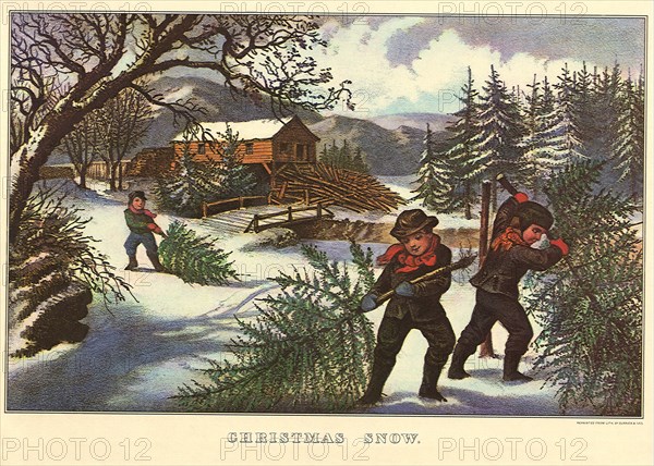 Kids with Christmas Pines in Snow